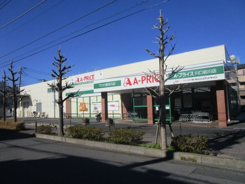 川口市芝下2丁目 新築戸建 前面道路含む現地写真