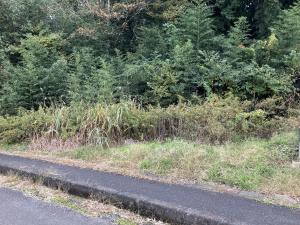 土地 茨城県稲敷郡美浦村大字根火312-1 JR常磐線（取手～いわき）荒川沖駅 300000