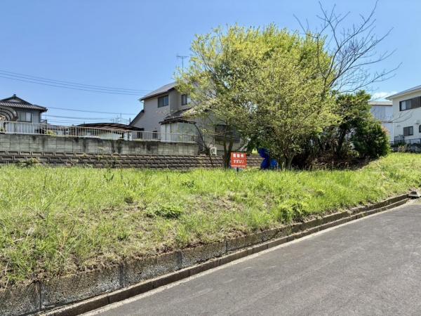 土地 茨城県稲敷郡美浦村大字布佐1495-95 JR常磐線（取手～いわき）荒川沖駅 30万円