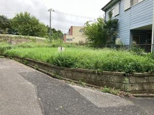土地 稲敷郡美浦村大字舟子1014-55 JR常磐線（取手〜いわき）土浦駅 300000