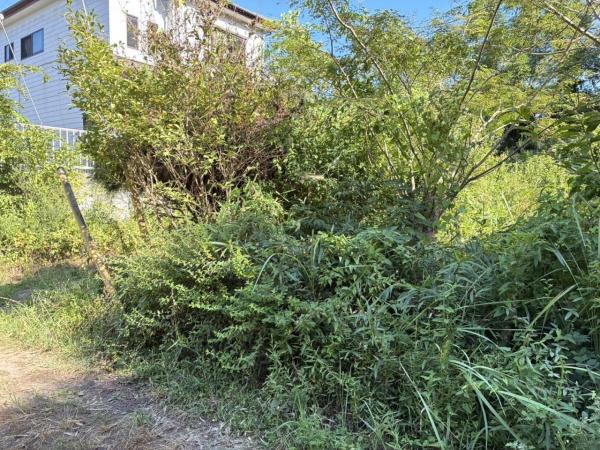 土地 稲敷市江戸崎乙799-13 JR成田線滑河駅 70万円