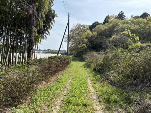 土地 稲敷郡美浦村大字布佐1866-2 JR常磐線（取手〜いわき）土浦駅 150万円