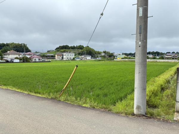 土地 稲敷郡美浦村大字信太568ほか1筆 JR常磐線（取手〜いわき）土浦駅 800万円