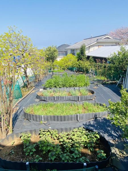 港南区日野9丁目　中古 庭
