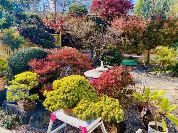港南区日野9丁目　中古 庭