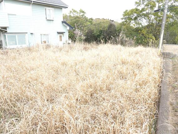 八街市みどり台1丁目 　建築条件無し売地 現地土地写真