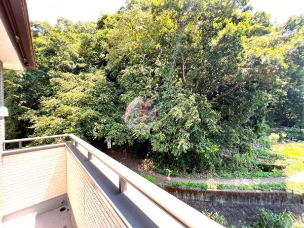 秦野市曽屋 中古一戸建 眺望