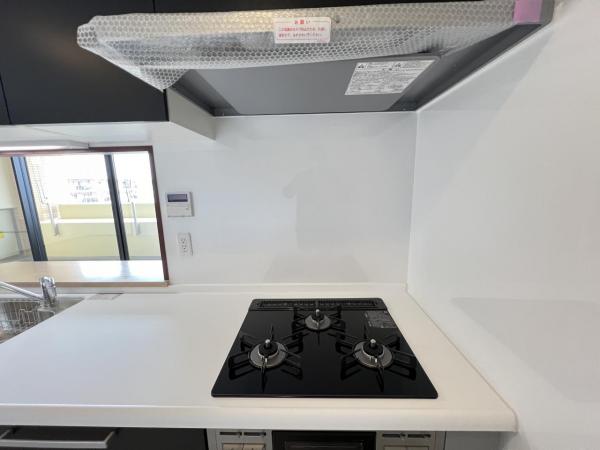 セントエルモ橋本南 その他設備(共用部)