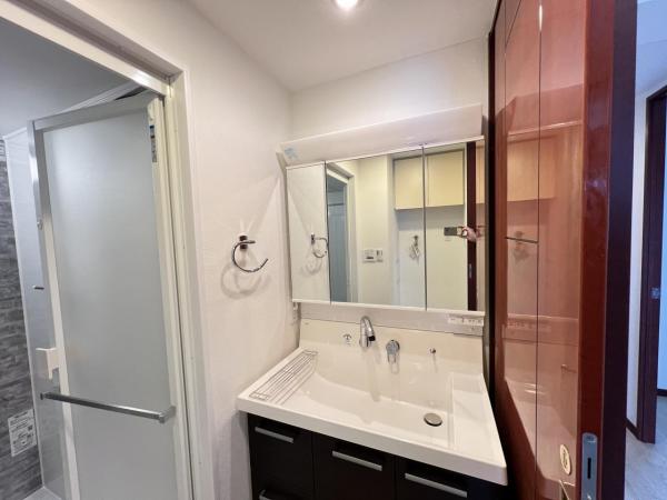 セントエルモ橋本南 洗面化粧台