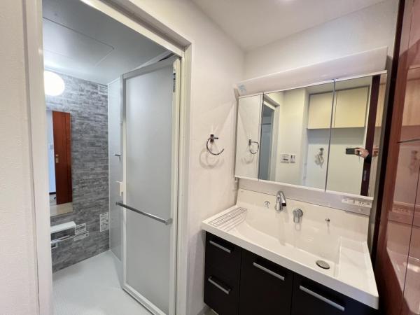 セントエルモ橋本南 洗面化粧台