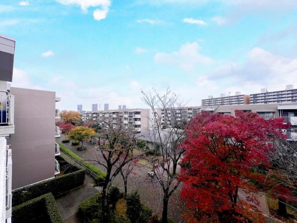 北柏ライフタウン 眺望