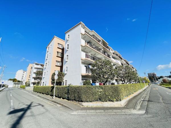 座間入谷ハイツ 外観写真