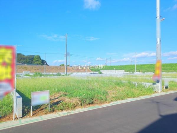 春日部市新宿新田 
