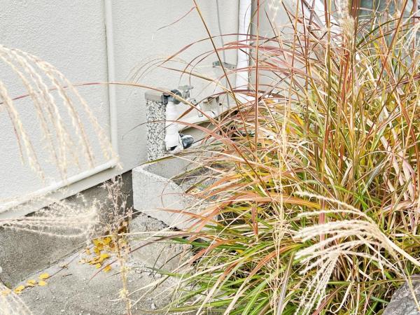 中郡二宮町富士見が丘２丁目 中古戸建 庭