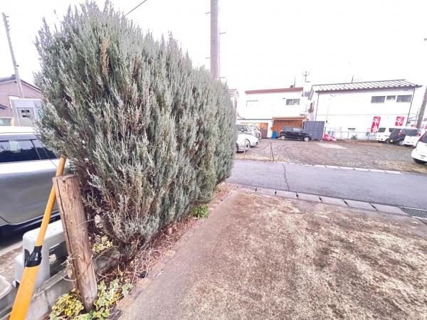 厚木市山際 中古戸建 庭