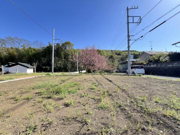秦野市渋沢 建築条件付売地 現地土地写真