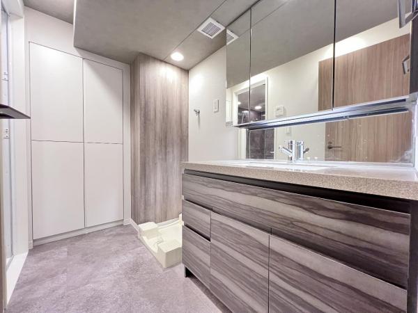 クリオレジタンス八王子　ザ・マークス 洗面化粧台