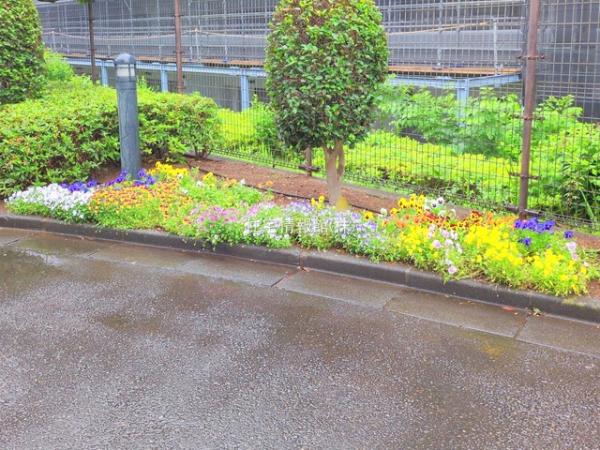 コスモ横浜常盤台公園 