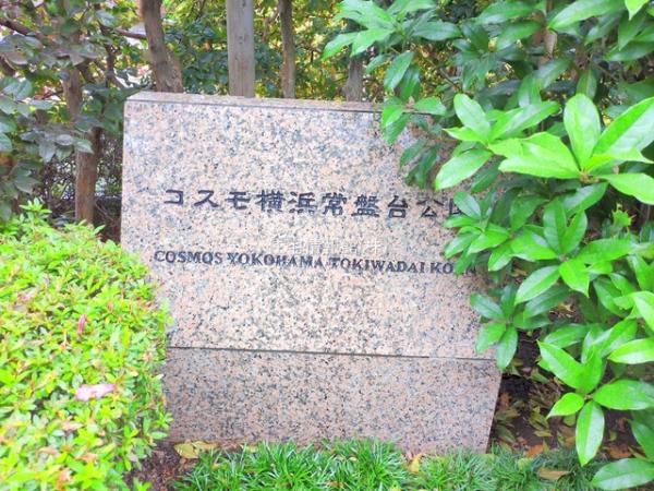コスモ横浜常盤台公園 