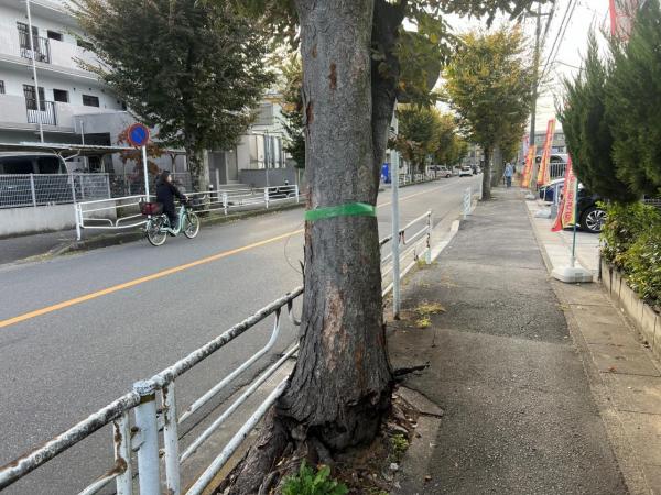 越谷市南町1期 前面道路含む現地写真