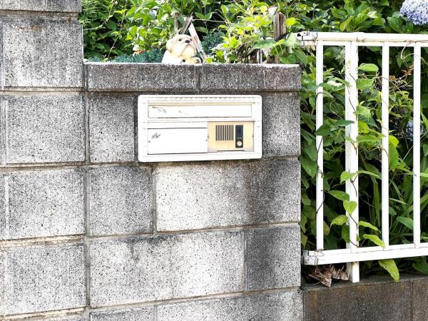 秦野市戸川 中古戸建 その他設備(専用部)
