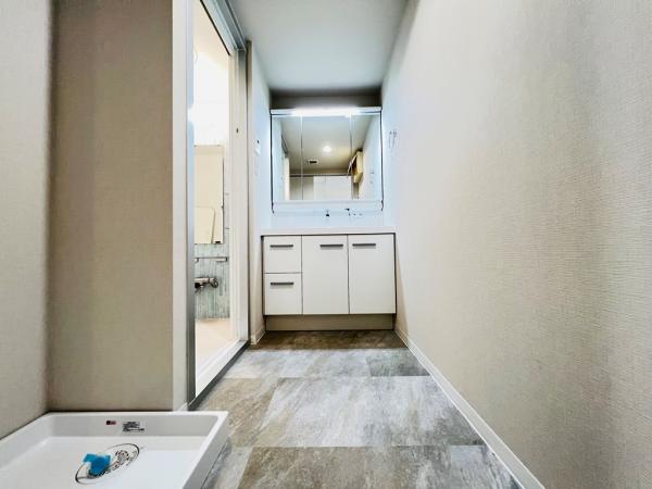 ナイスアーバン古淵 脱衣所