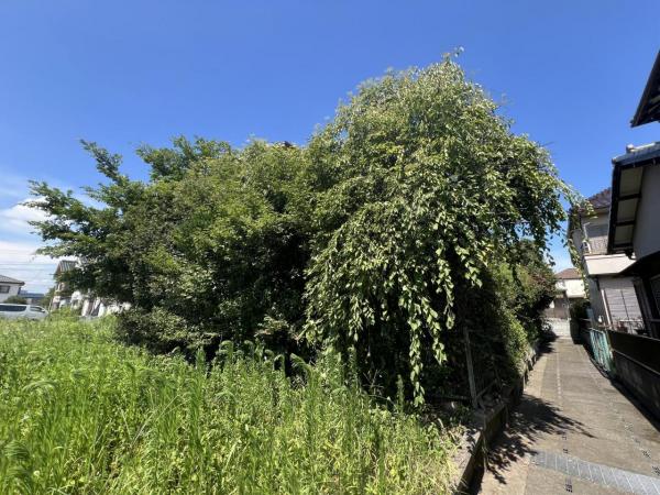 越谷市弥栄町4期 現地土地写真