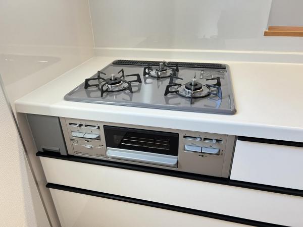 綾瀬市深谷中６丁目 戸建 その他設備(専用部)