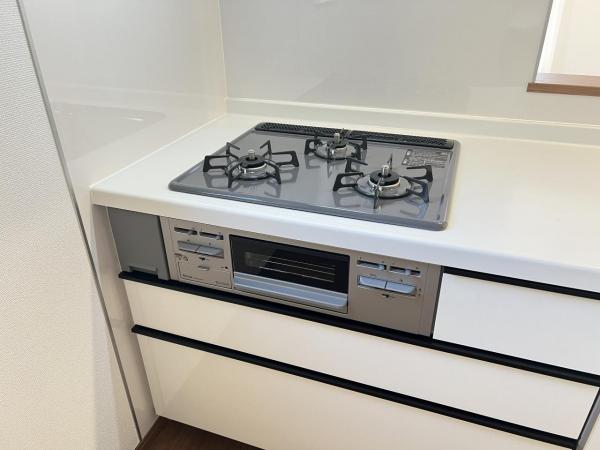 綾瀬市深谷中１丁目 戸建 その他設備(専用部)