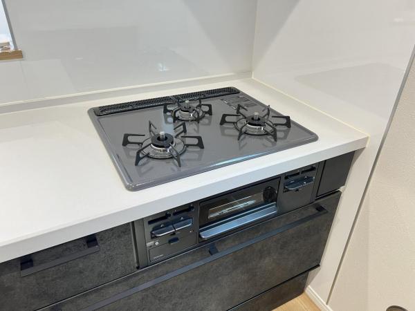 綾瀬市深谷中２丁目 戸建 その他設備(専用部)