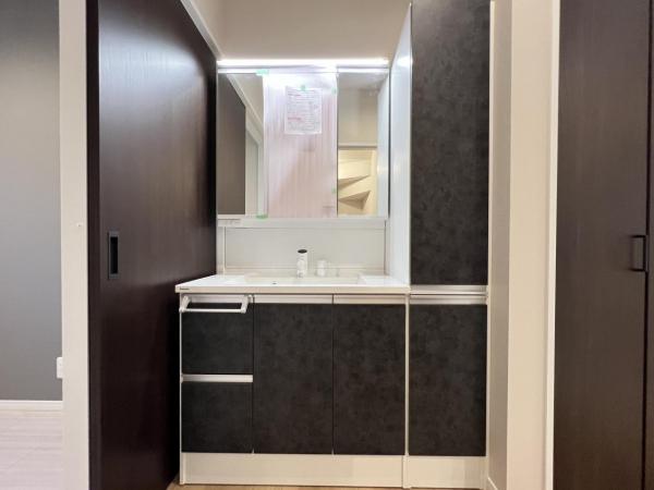 綾瀬市深谷中２丁目 戸建 洗面化粧台