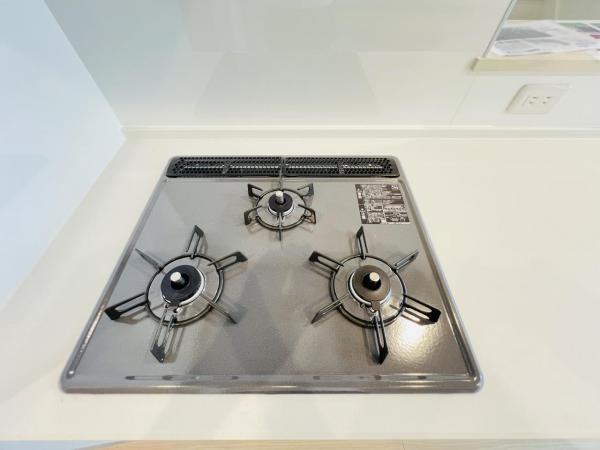 綾瀬市深谷中２丁目 戸建 その他設備(専用部)