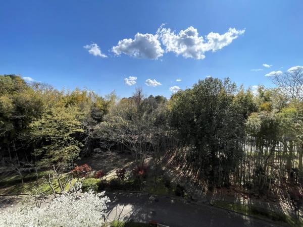 東急ドエル・ステージ21センターコート壱番館 眺望