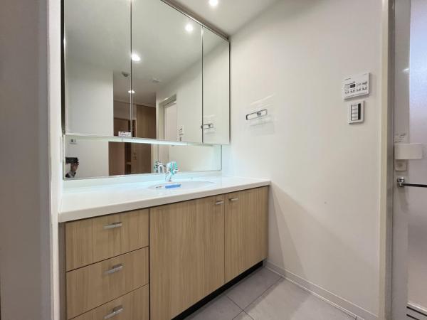 The　NOBUTO　HILLS　FOREST　COURT 洗面化粧台