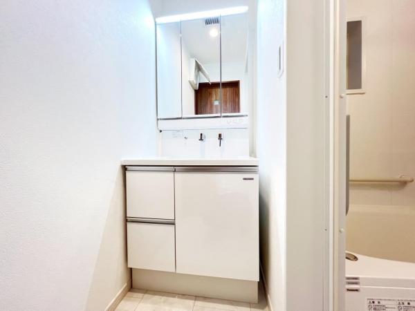 川崎市川崎区藤崎４丁目 戸建 洗面化粧台