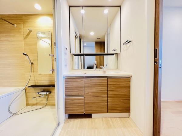 オハナ橋本 洗面化粧台