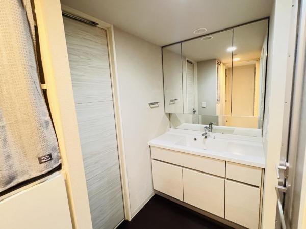 プレミスト緑園都市ヴィスタコート 洗面化粧台