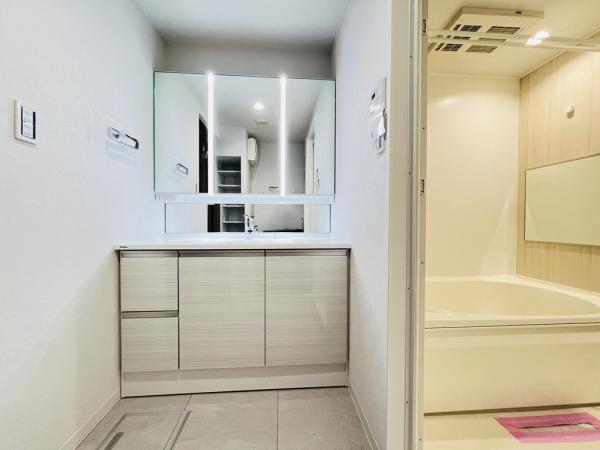 プレヴィオ橋本 洗面化粧台