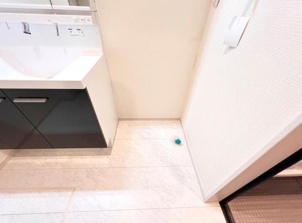 川崎市麻生区王禅寺西８丁目 戸建 ランドリースペース