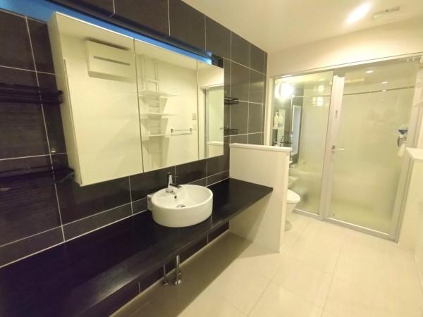 横浜市中区花咲町４丁目 中古戸建 洗面化粧台