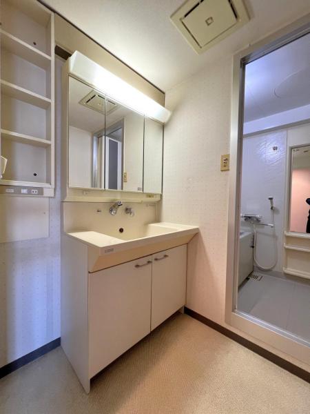 ライオンズガーデン久喜参番館 洗面化粧台