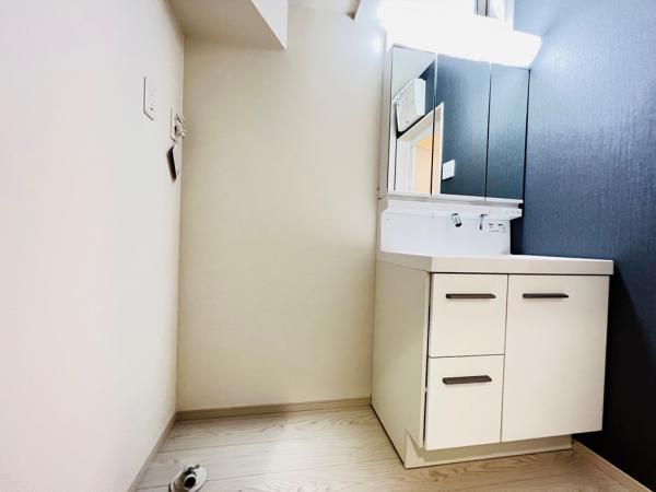 相模原市中央区小山１丁目 戸建 ランドリースペース