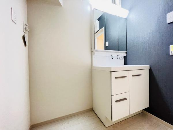 相模原市中央区小山１丁目 戸建 洗面化粧台