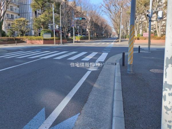 サンライトパストラル五番街A棟 