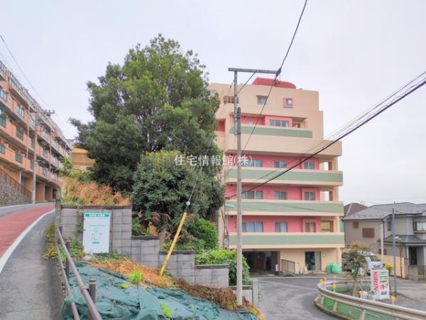 アルシオン河辺 