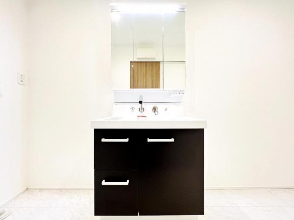 我孫子市青山台２丁目 戸建 洗面化粧台