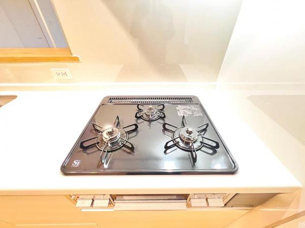 伊勢原市高森 戸建 その他設備(専用部)