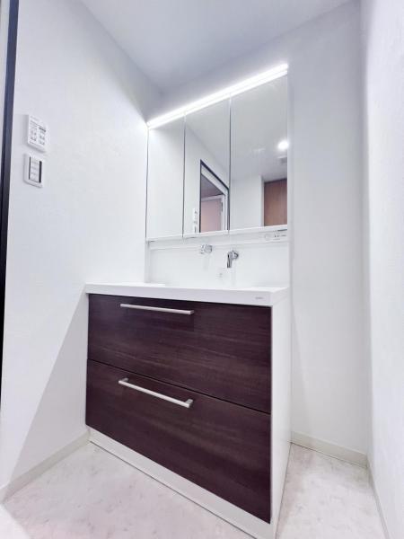 グリーンビレッジひばりが丘 洗面化粧台