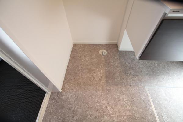 日高市大字原宿 戸建 ランドリースペース