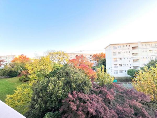 たまプラーザ団地５街区９号棟 眺望